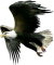2018-12-04-09-43-54 2